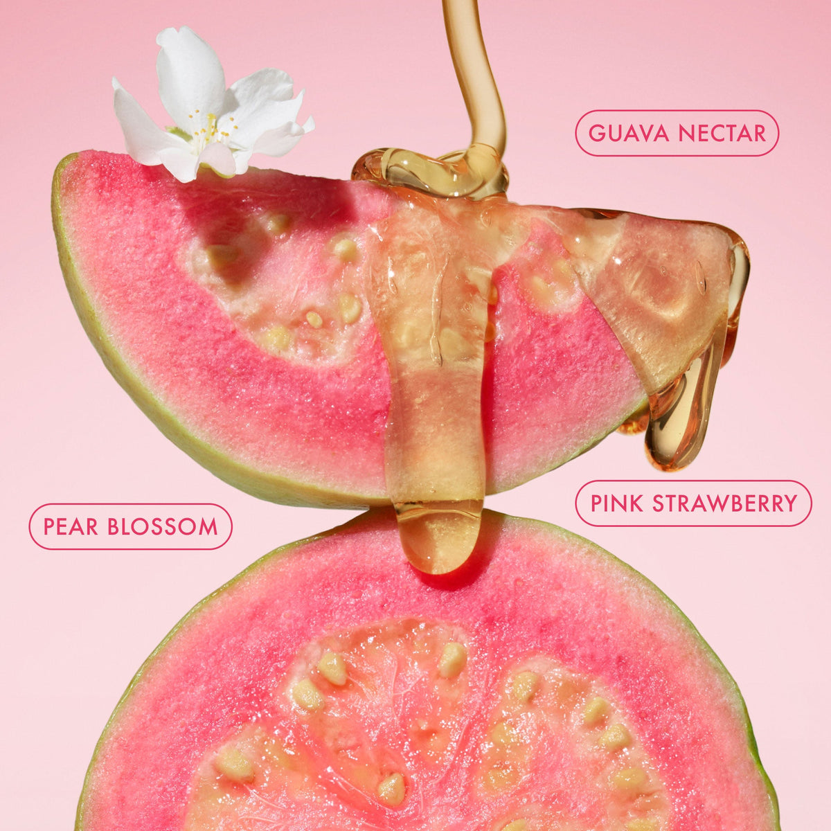 mini-body-butter-trio-o8 BodyButterBalmPinkGuava_3.jpg
