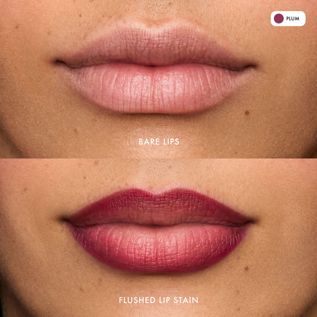 flushed-lip-stain-plum-b6 FlushedLipStain_Plum_B_A.jpg