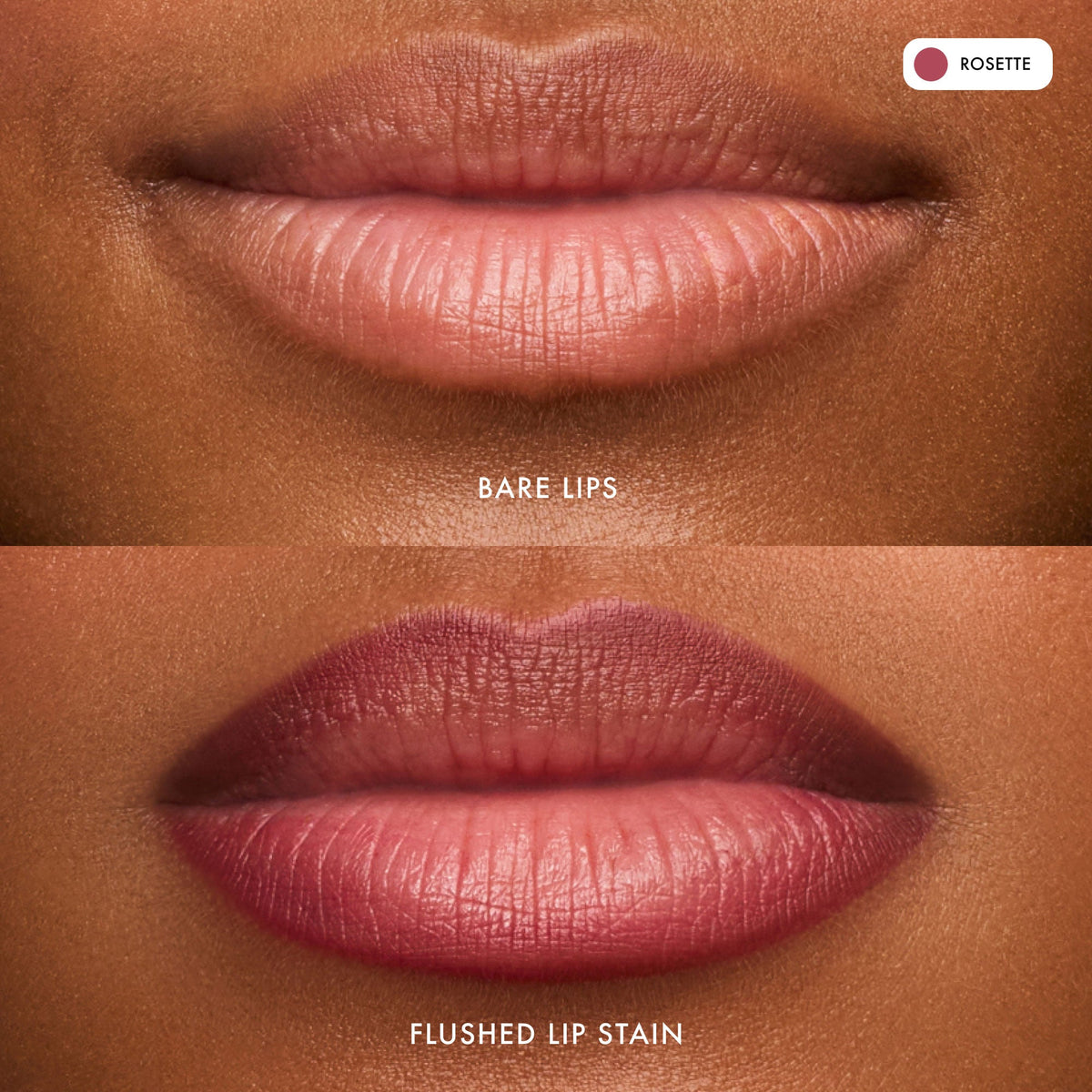 flushed-lip-stain-rosette-t6 FlushedLipStain_Rosette_B_A.jpg