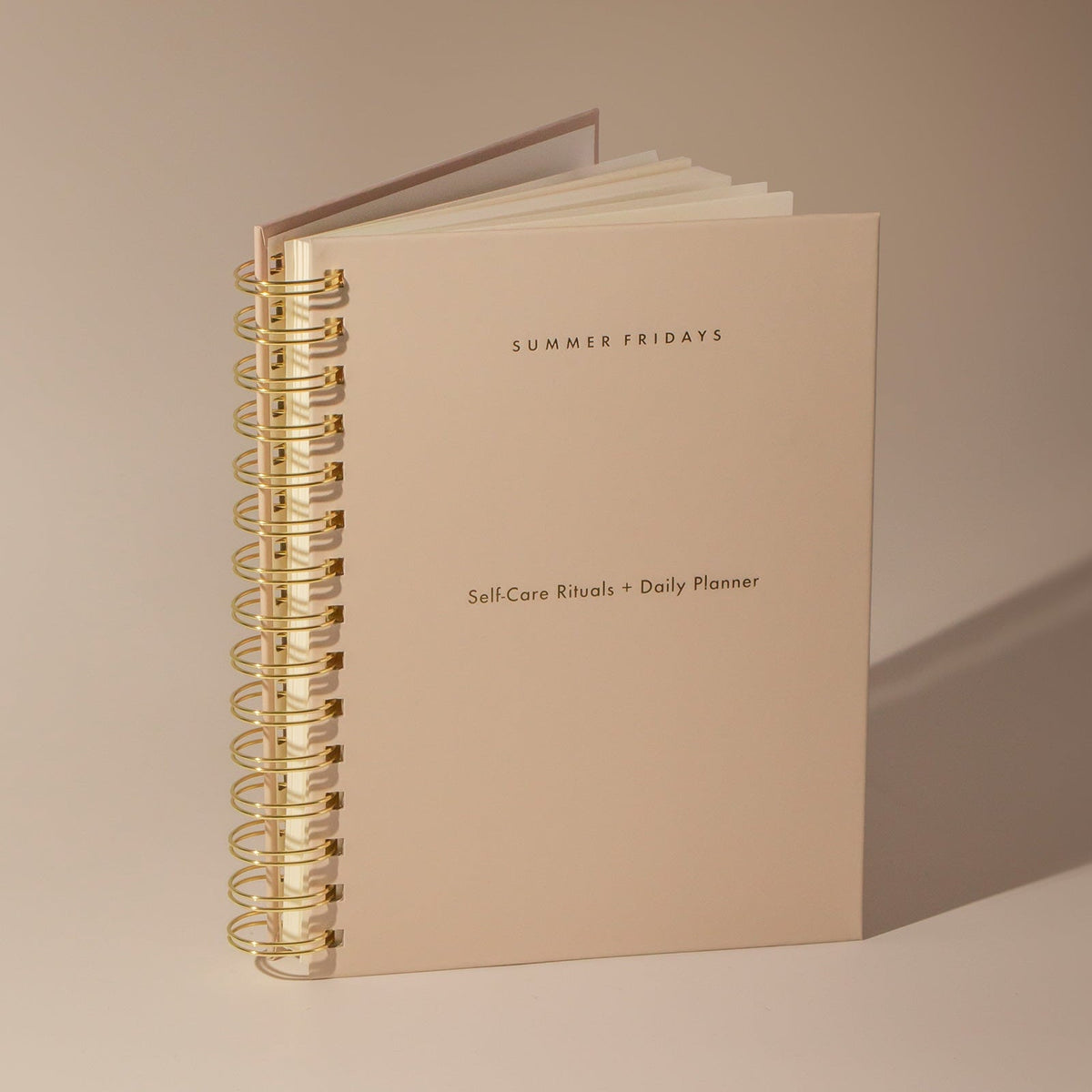 self-care-rituals-daily-planner-d0 Planner-Main-V2.jpg