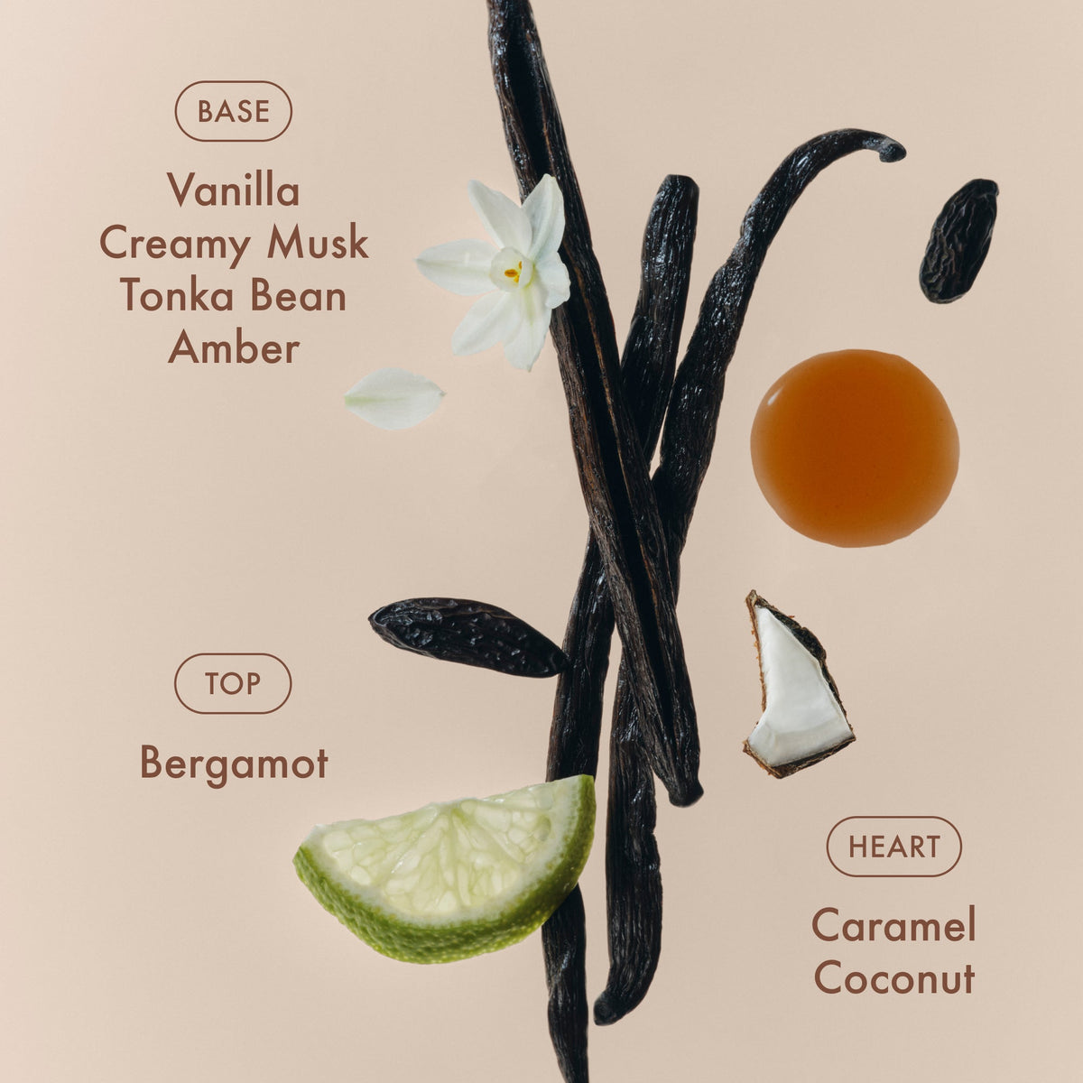 sunlit-vanillatm-eau-de-parfum-u8 SunlitVanilla_4.jpg